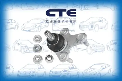 Ball Joint/AUDI/SEAT/SKODA/VOLKSWAGEN/A3 (8P1)/A3 Sportback (8PA)/ALTEA (5P1)/CADDY III Box Body/MPV (2KA, 2KH, 2CA, 2CH)/CADDY III MPV (2KB, 2KJ, 2CB, 2CJ)/GOLF V (1K1)/LEON (1P1)/OCTAVIA II (1Z3)/TOURAN (1T1, 1T2)