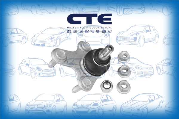 Ball Joint/AUDI/SEAT/SKODA/VOLKSWAGEN/A3 (8P1)/A3 Sportback (8PA)/ALTEA (5P1)/CADDY III Box Body/MPV (2KA, 2KH, 2CA, 2CH)/CADDY III MPV (2KB, 2KJ, 2CB, 2CJ)/GOLF V (1K1)/LEON (1P1)/OCTAVIA II (1Z3)/TOURAN (1T1, 1T2)