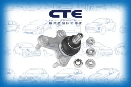 Ball Joint/AUDI/SEAT/SKODA/VOLKSWAGEN/A3 (8P1)/A3 Sportback (8PA)/ALTEA (5P1)/CADDY III Box Body/MPV (2KA, 2KH, 2CA, 2CH)/CADDY III MPV (2KB, 2KJ, 2CB, 2CJ)/GOLF V (1K1)/LEON (1P1)/OCTAVIA II (1Z3)/TOURAN (1T1, 1T2)