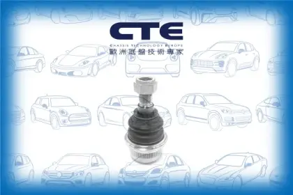 Ball Joint/MERCEDES-BENZ/E-CLASS (W211)/S-CLASS (W220)