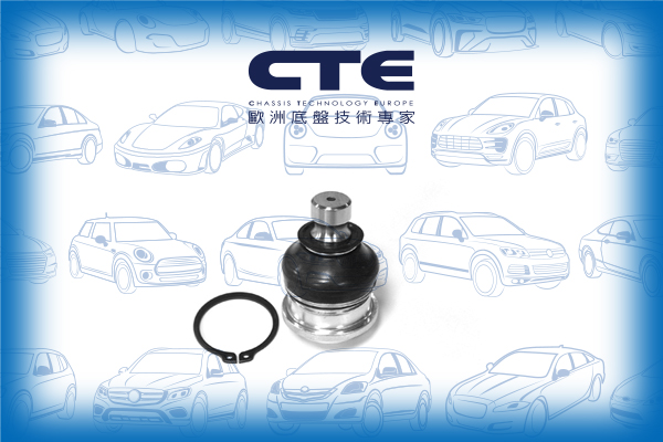Ball Joint/HYUNDAI/SANTA FÉ I (SM)