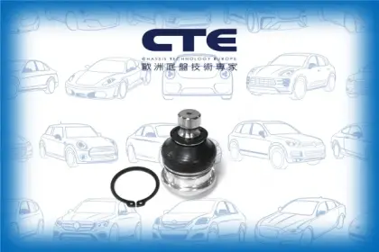 Ball Joint/HYUNDAI/SANTA FÉ I (SM)