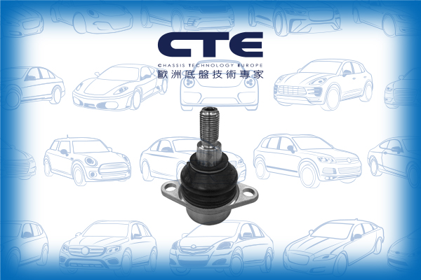 Ball Joint/LAND ROVER/RANGE ROVER III (L322)