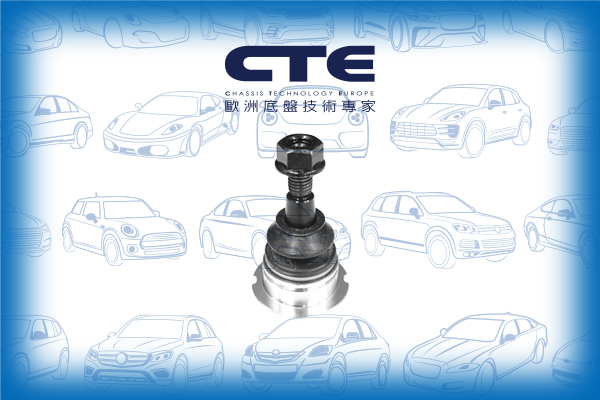 Ball Joint/LAND ROVER/DISCOVERY III (L319)/DISCOVERY III VAN (L319)