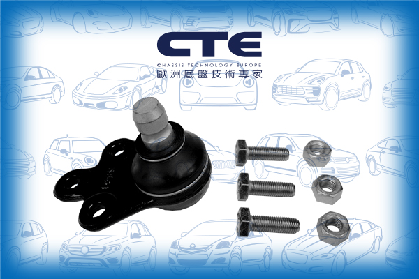 Ball Joint/TESLA/MODEL S (5YJS)