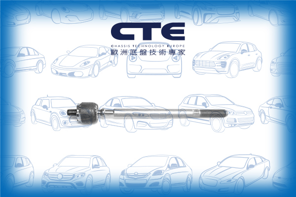 Rack End/RENAULT/MEGANE I (BA0/1_)