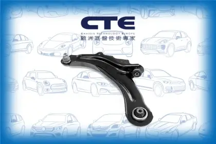Control Arm/RENAULT/MEGANE II (BM0/1_, CM0/1_)/MEGANE II Saloon (LM0/1_)/SCÉNIC II (JM0/1_)