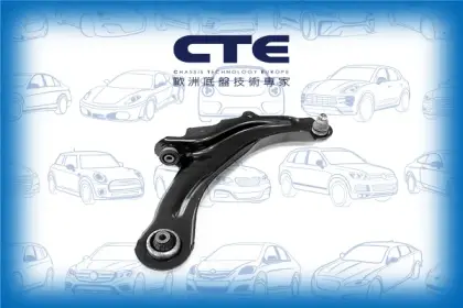 Control Arm/RENAULT/MEGANE II (BM0/1_, CM0/1_)/MEGANE II Saloon (LM0/1_)/SCÉNIC II (JM0/1_)