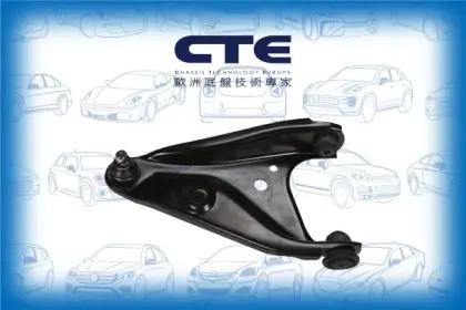 Control Arm