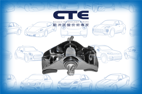 Control Arm