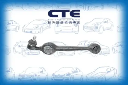 Control Arm/FORD/ESCORT III (GAA)