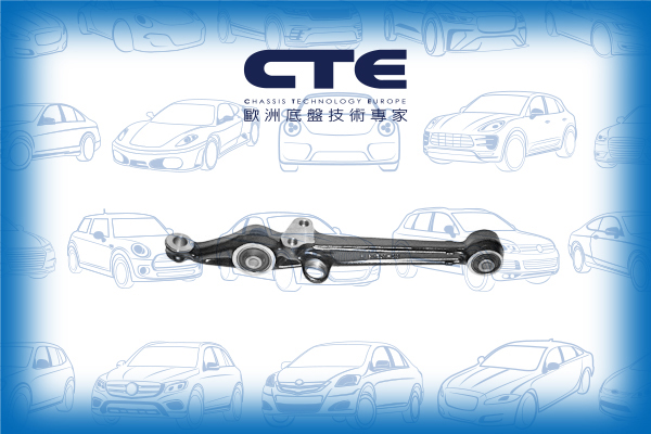 Control Arm/HONDA/ROVER/600 I (RH)/ACCORD V (CC, CD)/ODYSSEY (RL1, RA6, RA_)/ODYSSEY MPV (RA_)