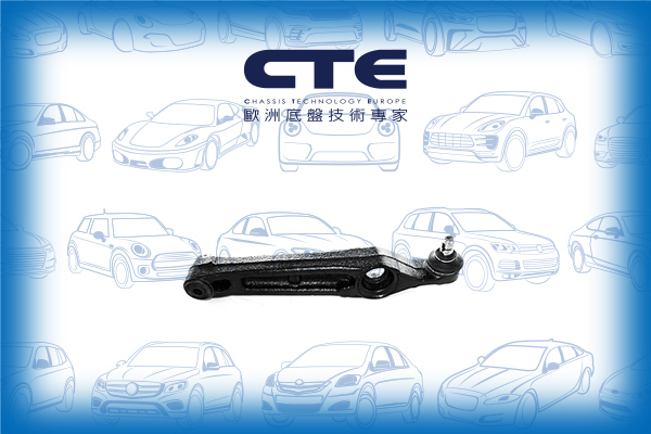 Control Arm/OPEL/SUZUKI/AGILA (A) (H00)/AGILA (B) (H08)/IGNIS I (FH)/IGNIS II (MH)/WAGON R Hatchback/WAGON R+ Hatchback (EM) | WAGON R WIDE/WAGON R+ Hatchback (MM) | WAGON R SORIO