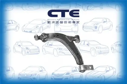 Control Arm/PEUGEOT/306 (7B, N3, N5)