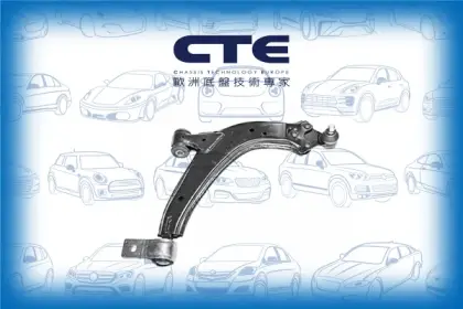 Control Arm/PEUGEOT/306 (7B, N3, N5)