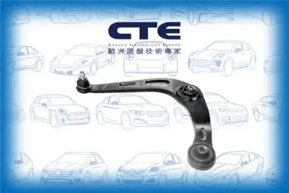 Control Arm/PEUGEOT/206 CC (2D)/206 Hatchback (2A/C)/206 Saloon/206 SW (2E/K)