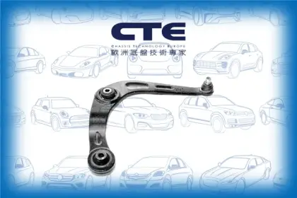 Control Arm/PEUGEOT/206 CC (2D)/206 Hatchback (2A/C)/206 Saloon/206 SW (2E/K)