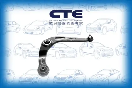 Control Arm/PEUGEOT/206 Hatchback (2A/C)/206 Van