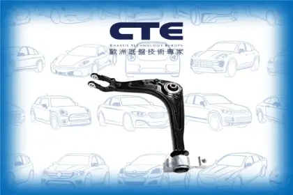 Control Arm/PEUGEOT/407 (6D_)/407 Coupe (6C_)/407 SW (6E_)