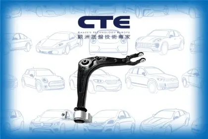 Control Arm/PEUGEOT/407 (6D_)/407 Coupe (6C_)/407 SW (6E_)
