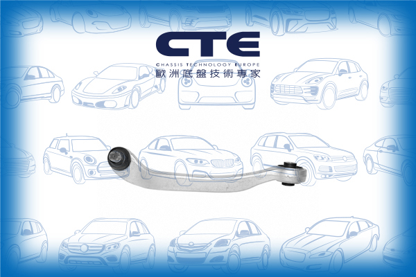 Control Arm/AUDI/A6 C6 (4F2)