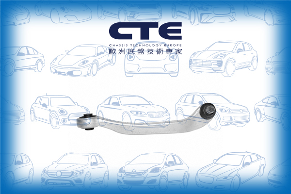 Control Arm/AUDI/A6 C6 (4F2)
