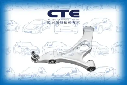Control Arm/AUDI/PORSCHE/VOLKSWAGEN/CAYENNE (92A)/CAYENNE (9PA)/Q7 (4LB)/TOUAREG (7P5, 7P6)