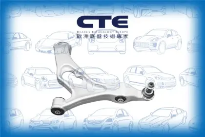 Control Arm/AUDI/PORSCHE/VOLKSWAGEN/CAYENNE (92A)/CAYENNE (9PA)/Q7 (4LB)/TOUAREG (7P5, 7P6)