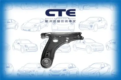 Control Arm/VOLKSWAGEN/POLO III (6N1)
