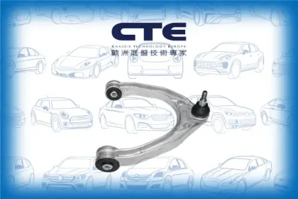 Control Arm/AUDI/PORSCHE/VOLKSWAGEN/CAYENNE (9PA)/Q7 (4LB)/TOUAREG (7LA, 7L6, 7L7)