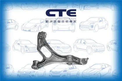 Control Arm/VOLKSWAGEN/TOUAREG (7LA, 7L6, 7L7)