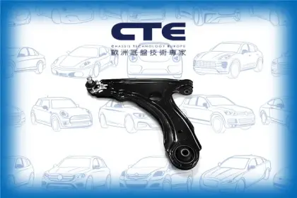 Control Arm/VOLKSWAGEN/GOLF I (17)