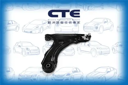 Control Arm/VOLKSWAGEN/GOLF I (17)