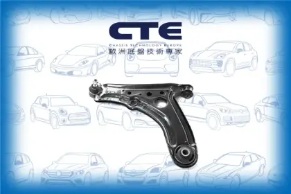 Control Arm/VOLKSWAGEN/POLO III (6N1)