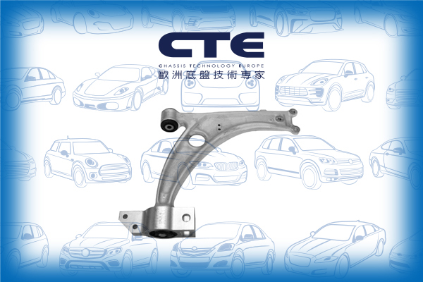 Control Arm/VOLKSWAGEN/PASSAT B6 (3C2) | PASSAT / Magotan