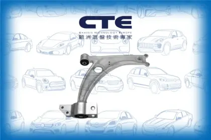 Control Arm/VOLKSWAGEN/PASSAT B6 (3C2) | PASSAT / Magotan
