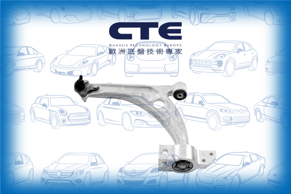 Control Arm/VOLKSWAGEN/PASSAT B6 (3C2) | PASSAT / Magotan