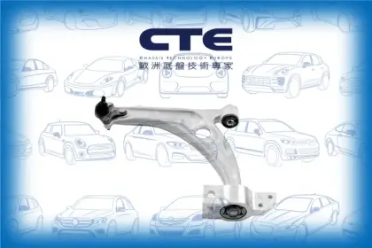 Control Arm/VOLKSWAGEN/PASSAT B6 (3C2) | PASSAT / Magotan