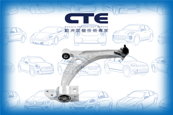 Control Arm/VOLKSWAGEN/PASSAT B6 (3C2) | PASSAT / Magotan