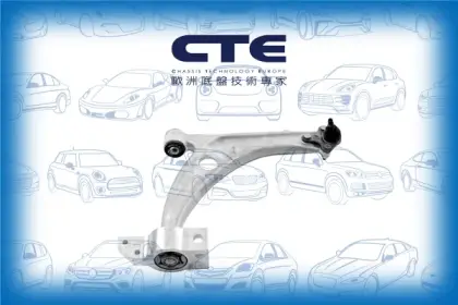 Control Arm/VOLKSWAGEN/PASSAT B6 (3C2) | PASSAT / Magotan