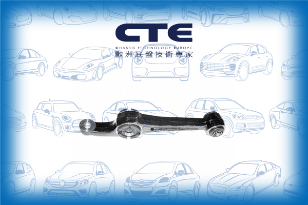 Control Arm/LEXUS/TOYOTA/CAMRY (_V2_)/CAMRY Estate (_V2_)/CAMRY Saloon (_V1_)/ES (VCV10_, VZV21_)