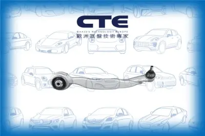 Control Arm/MERCEDES-BENZ/E-CLASS (W212)