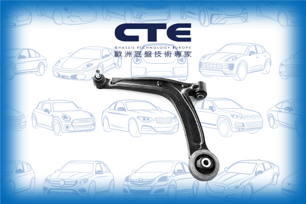 Control Arm/FIAT/500 (111_, 101_, 110_)