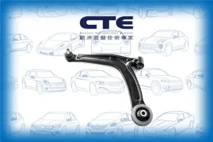 Control Arm/FIAT/500 (111_, 101_, 110_)