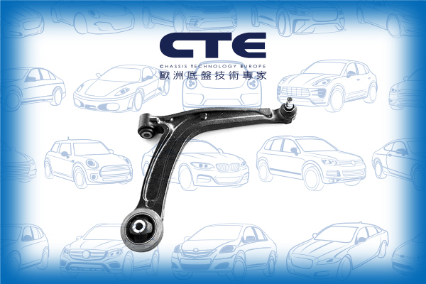 Control Arm/FIAT/500 (111_, 101_, 110_)