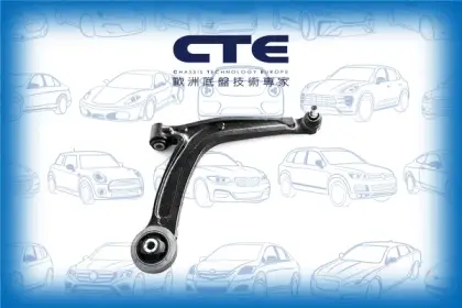 Control Arm/FIAT/500 (111_, 101_, 110_)