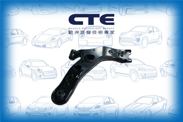 Control Arm/LEXUS/TOYOTA/TOYOTA (FAW)/COROLLA (_E18_)/NX (_Z1_)/RAV 4 III (_A3_) | RAV 4 / VANGUARD/RAV 4 IV (_A4_)/RAV4 (_A3_)/RX (_L1_)