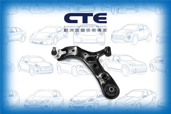 Control Arm/LEXUS/TOYOTA/TOYOTA (FAW)/COROLLA (_E18_)/NX (_Z1_)/RAV 4 III (_A3_) | RAV 4 / VANGUARD/RAV 4 IV (_A4_)/RAV4 (_A3_)/RX (_L1_)