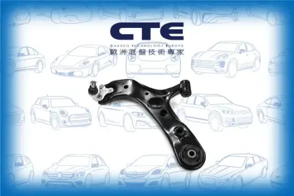 Control Arm/LEXUS/TOYOTA/TOYOTA (FAW)/COROLLA (_E18_)/NX (_Z1_)/RAV 4 III (_A3_) | RAV 4 / VANGUARD/RAV 4 IV (_A4_)/RAV4 (_A3_)/RX (_L1_)