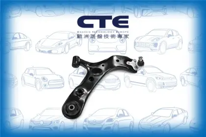 Control Arm/LEXUS/TOYOTA/TOYOTA (FAW)/COROLLA (_E18_)/NX (_Z1_)/RAV 4 III (_A3_) | RAV 4 / VANGUARD/RAV 4 IV (_A4_)/RAV4 (_A3_)/RX (_L1_)